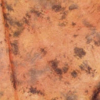 METTLE Hintergrundstoff W-114, 3x6 m Fotostudio-Hintergrund Stoffhintergrund 
