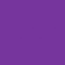 Papierhintergrund, Hintergrundkarton 2,72 x 11m PURPLE 62 